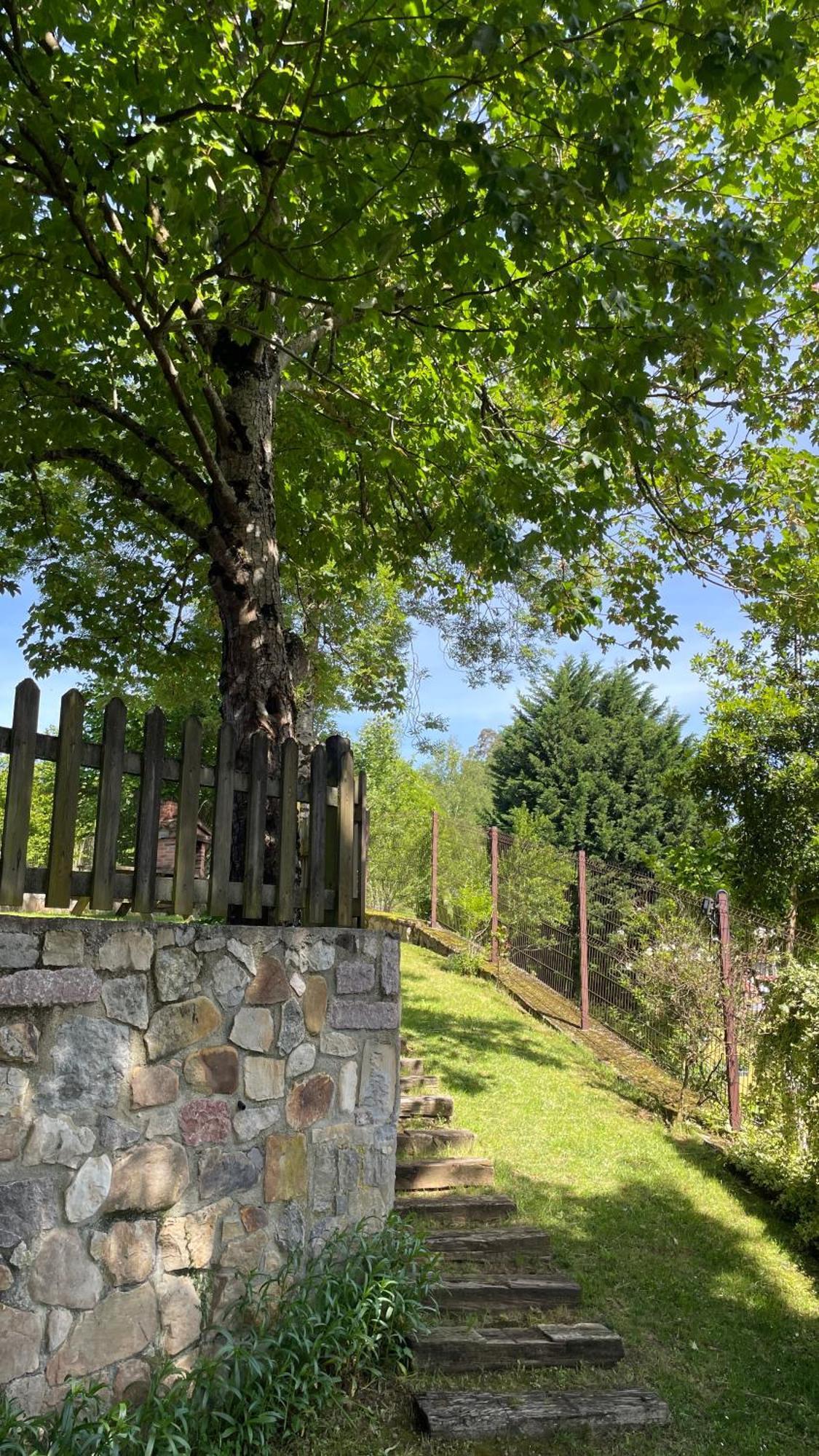 Apartamentos El Picoretu 메스타스 데 콘 외부 사진